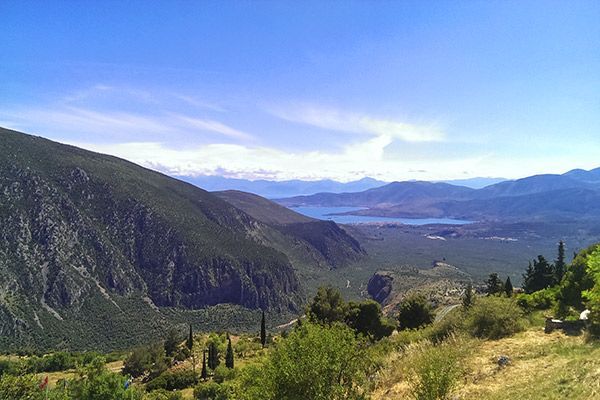 Delphi View